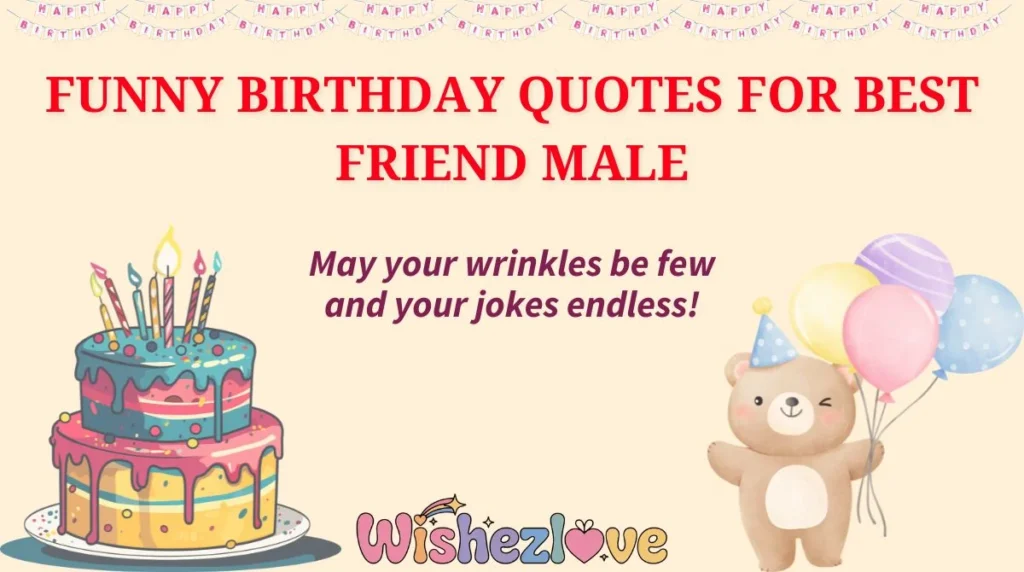 Funny Birthday Quotes for Best Friend Male